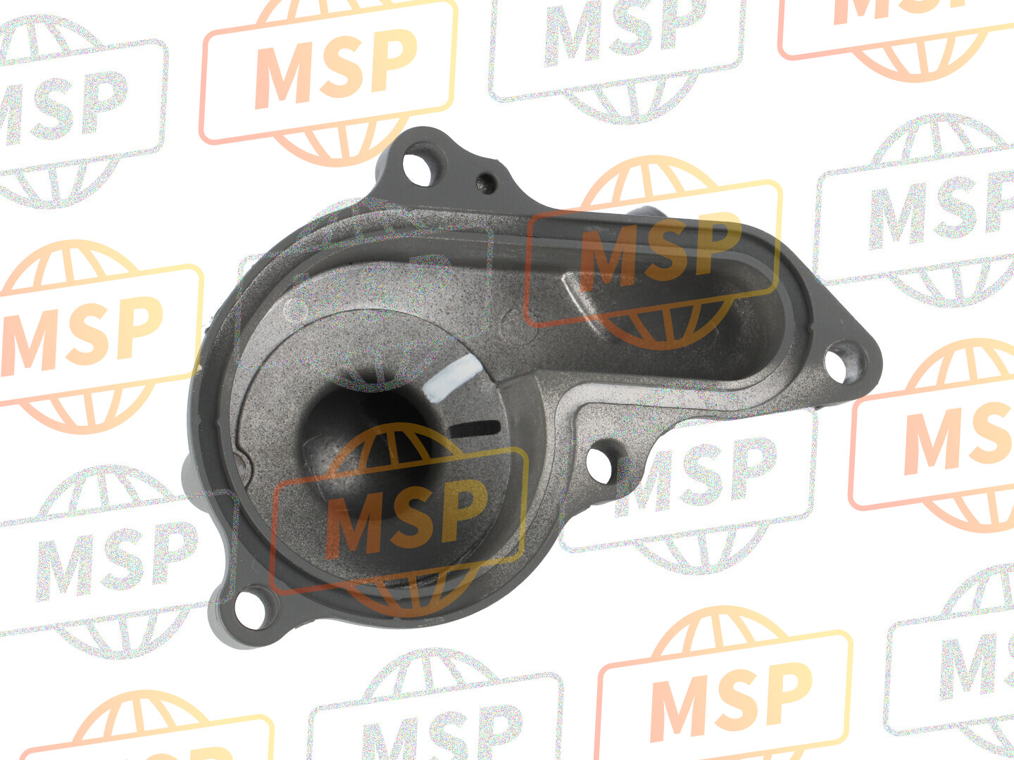 1741029F01, Case, Water Pump, Suzuki, 2