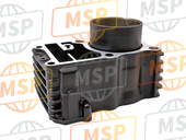 12100MS6650, Cylinder Comp., Fr., Honda, 2