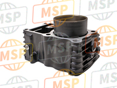 12110MS6650, Cylinder Comp., Rr., Honda, 2