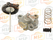 16021HM3L00, Diaphragm Set, Pump, Honda