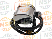 33720MR1611, Ass. Luce Targa (12V 5W), Honda