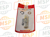 45530KN5305, Gruppo Pistone Cilindro P, Honda