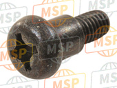 53164MN1670, Screw, Throttle Pulley Pivot, Honda