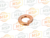 90052ZA0800, Washer, Spring, 6mm, Honda