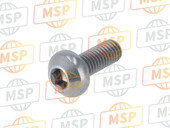 90108K0G901, Bolt, Socket Special, 8X2, Honda