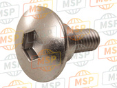 90113MCAA80, Screw, Special, 5X14, Honda