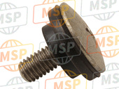 90113ML7920, Complesso Della Vite Di P, Honda, 2