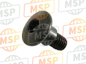 90113MR5000, Screw, Pan, 6X14, Honda