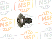 90114MG9770, Screw, Protector Setting, Honda