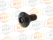 90115MGZJ00, Screw, Special, 6X14, Honda