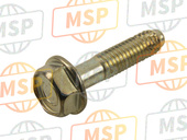 90121MV9670, Bolt, Flange, 6X25 (CT200), Honda