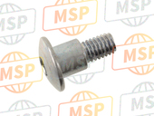 90137MCA000, Screw, Special, 6mm, Honda