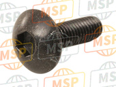 90138MCSG00, Tornillo Alomado 6X20, Honda