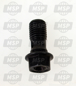 90145MS9612, Bolt, Oil, 10X22 (Saga), Honda