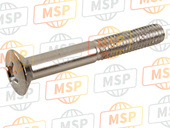 90191K29900, Tornillo Ovalado 6X45, Honda