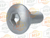 90303MEE000, Screw, Special, 6X16, Honda