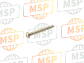 91901MZ1003, Screw, Tapping, Honda