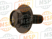 934040601607, BOLT-WASHER, 6X16, Honda