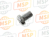 93500060100B, Screw, Pan, 6X10, Honda