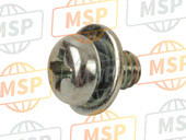 938910400600, SCREW-WASHER, 4X6, Honda, 1