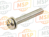 938910503008, SCREW-WASHER, 5X30, Honda