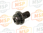 938910601207, SCREW-WASHER, 6X12, Honda