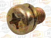 938920500808, SCREW-WASHER, 5X8, Honda