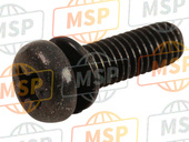 938920501607, SCREW-WASHER, 5X16, Honda