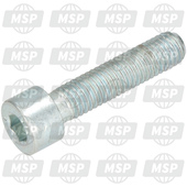 ODN00004383500, Locking Screw, Gilera