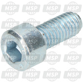 ODN00002051251, Locking Screw, Gilera