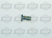 015510, Bearing Bolt, Vespa