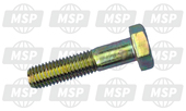 015578, Bearing Bolt, Piaggio