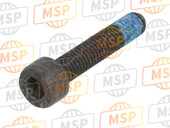 486972, Hex Houder Screw M5X25, Piaggio