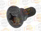 259348, Cap SCREW+SHANK, Piaggio