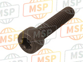 893779, Hex Socket Screw M6, Aprilia