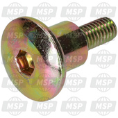 AP3ATN000118, Speciaal Screw, Derbi