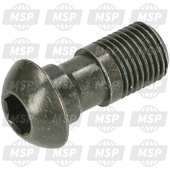 AP8121409, Oil Pipe Screw, Moto Guzzi