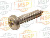 AP8127094, SELF-TAP Screw 3X13 Inox, Aprilia