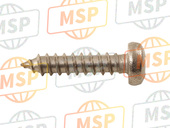 AP8127094, SELF-TAP Screw 3X13 Inox, Piaggio, 2