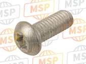 AP8150510, Screw, Aprilia