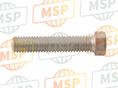 AP8152261, Chain Tensioner Screw, Piaggio, 2