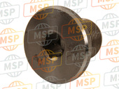 AP9150508, Speciaal Screw M16X1, Aprilia