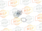 GU05206530, Luchthapper Plug, Moto Guzzi