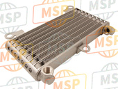 GU06162000, Oil Cooler, Moto Guzzi