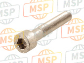 GU98690335, Hex Houder Screw, Moto Guzzi