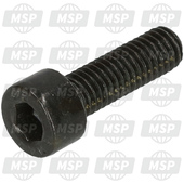 ODN00000004515, Screw 5M80X15, Piaggio