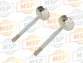 21020042A, Intake Valves Set, Ducati