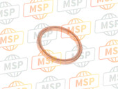 34910961A, Speciale Sluitring, Ducati