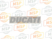 43510901AA, Decalcomanie Ducati, Ducati