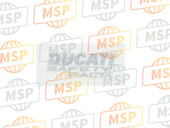 43713351A, Décalcomanie (Ducati Safety Pack) Droite, Ducati